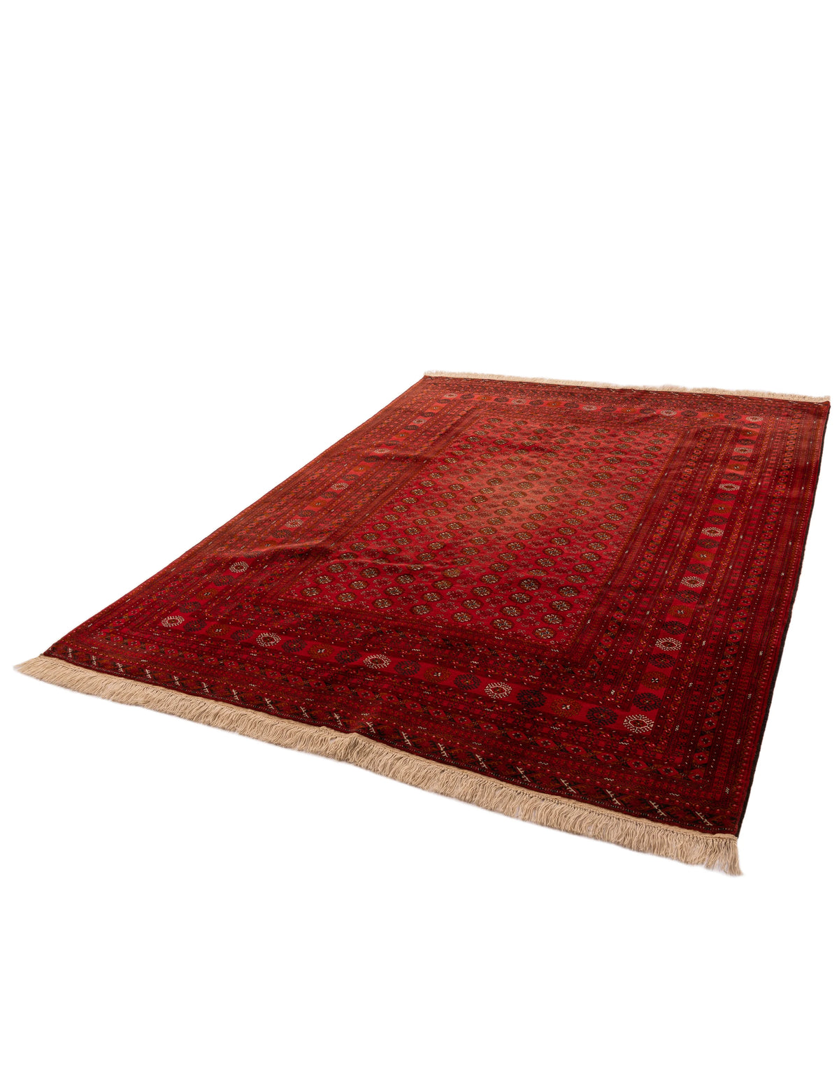 360 x 265 Afghan