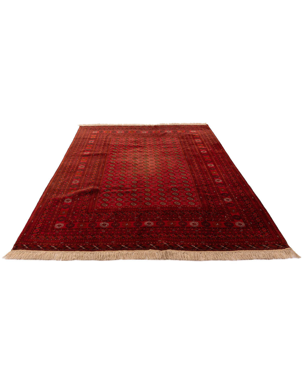 360 x 265 Afghan