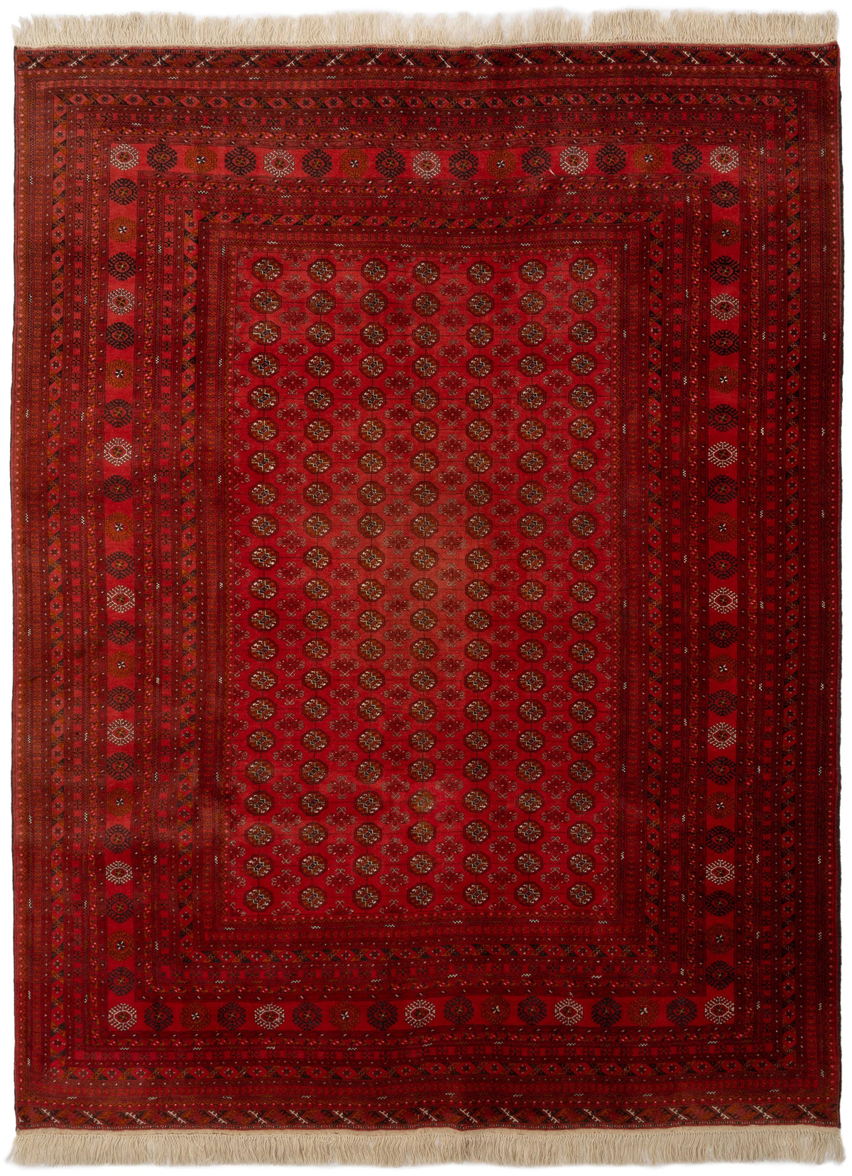 360 x 265 Afghan
