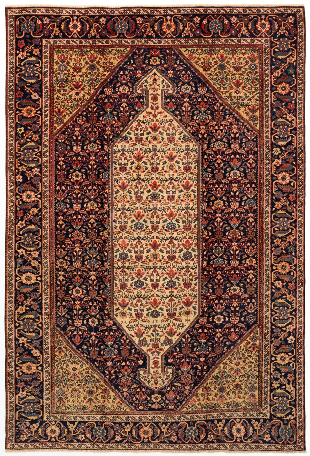 203 x 294 Schirwan