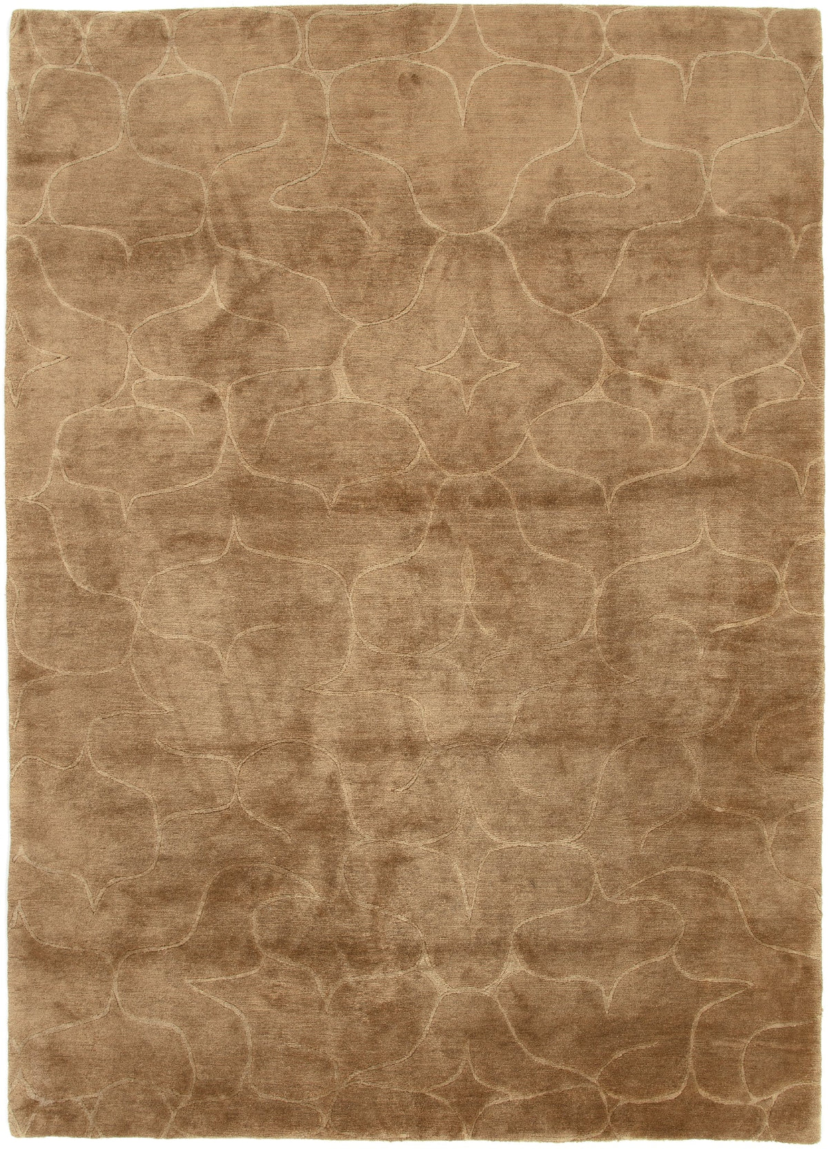 146x204 Odegard fine