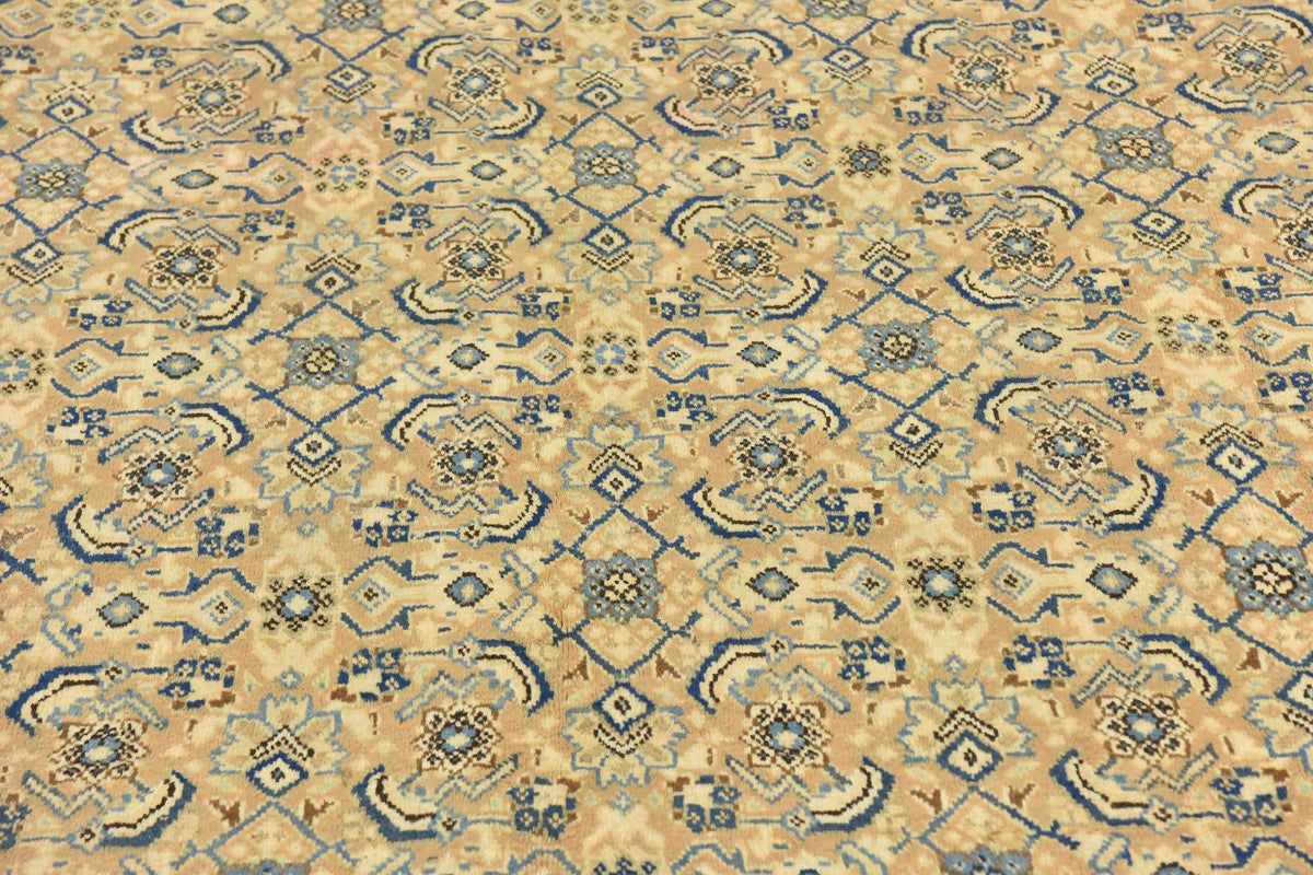 218 x 328 Farahan