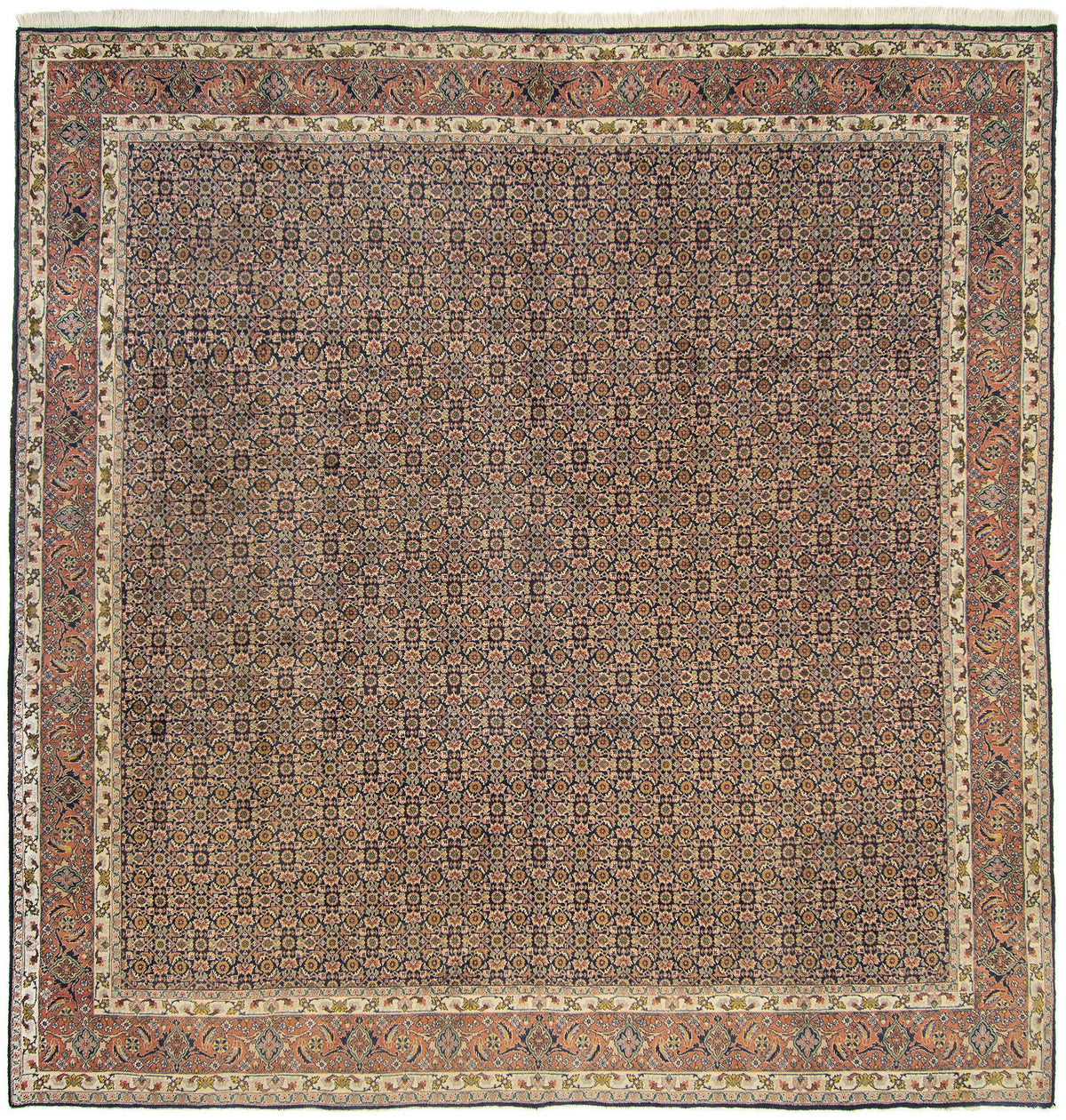 300 x 300 Bidjar