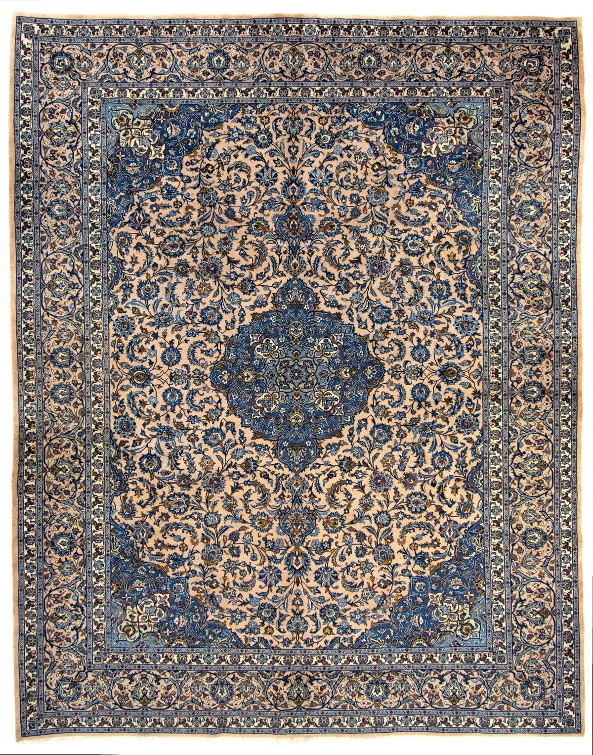 300 x 374 Meshed