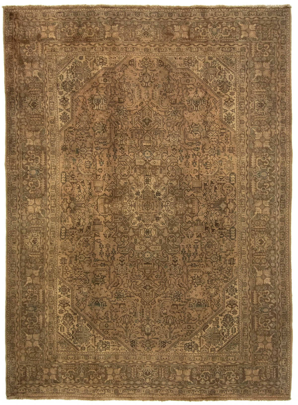 247x341 Kashmar