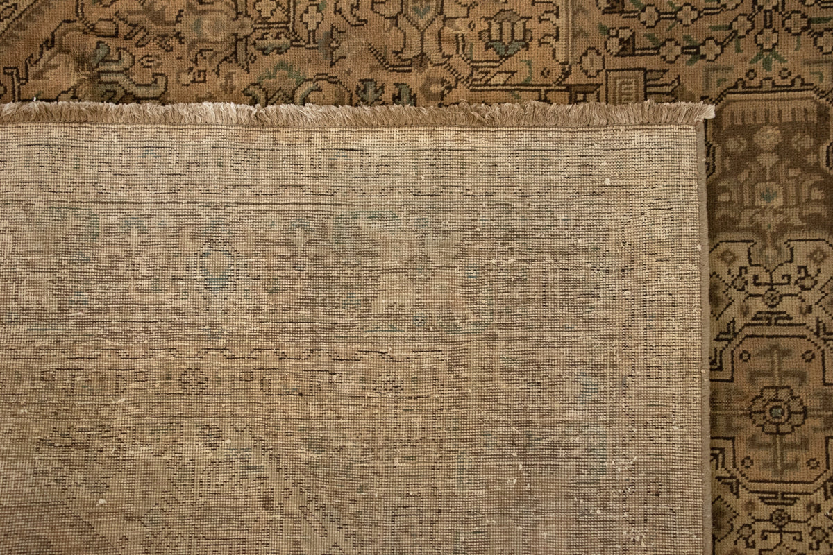 247x341 Kashmar