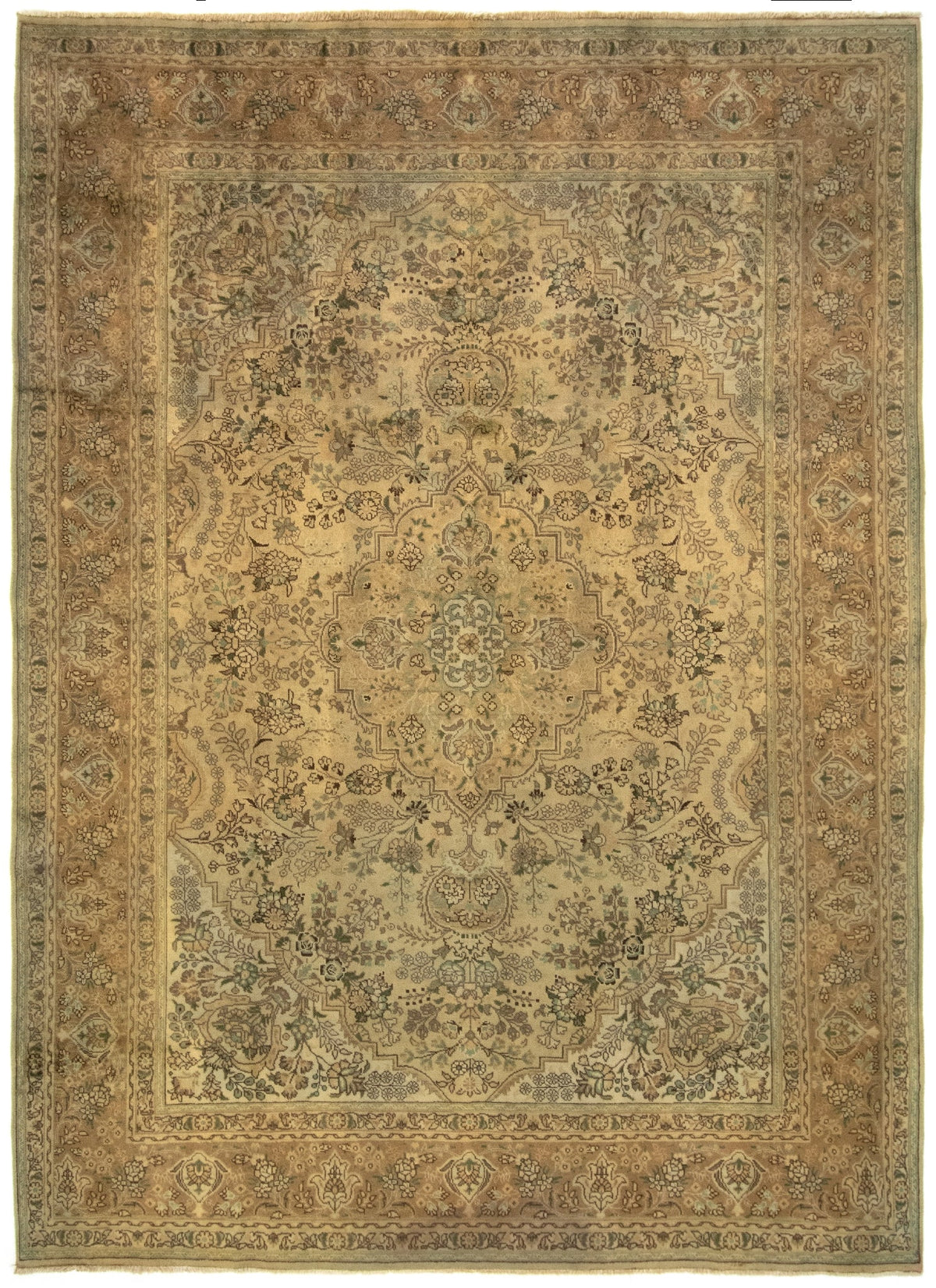255 x 349 Kashmar