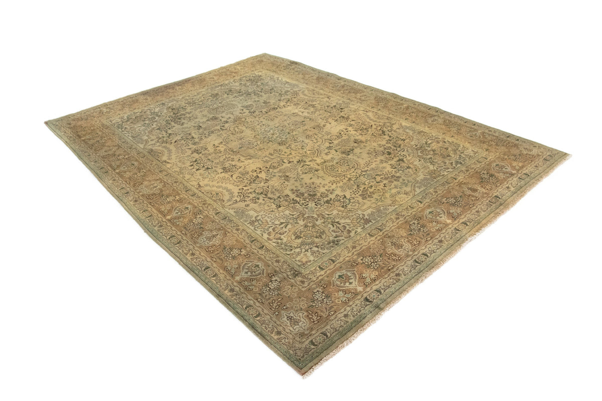 255 x 349 Kashmar