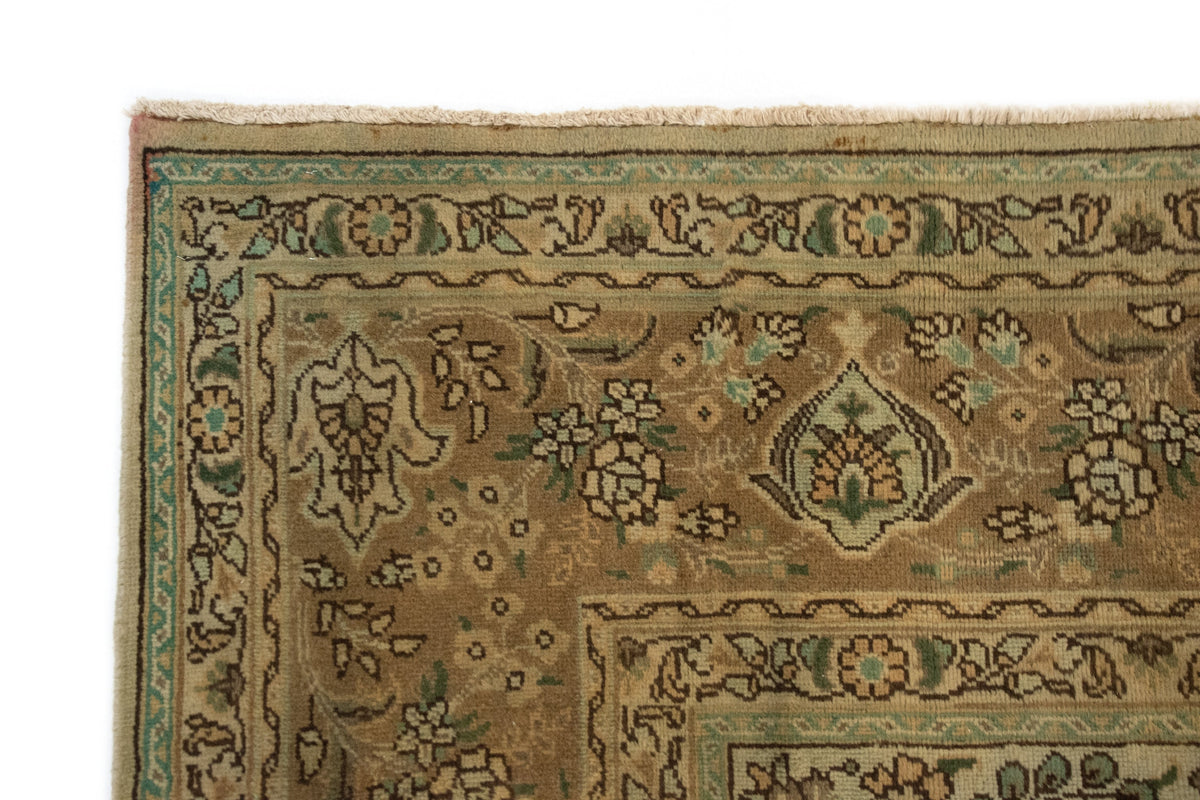 255 x 349 Kashmar