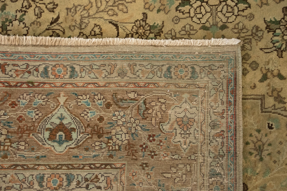 255 x 349 Kashmar