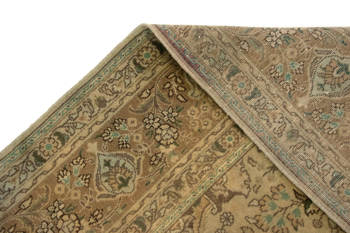 255 x 349 Kashmar