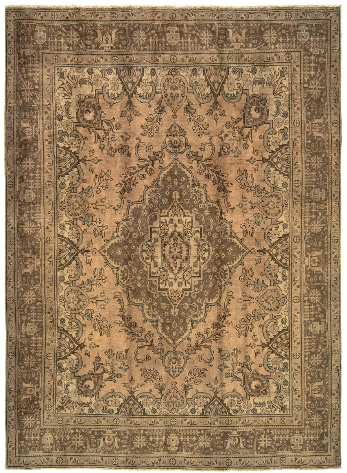 246 x 340 Kashmar