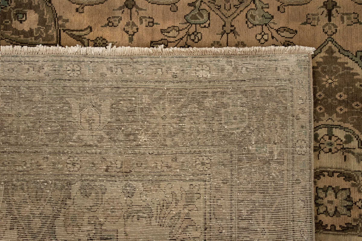 246 x 340 Kashmar