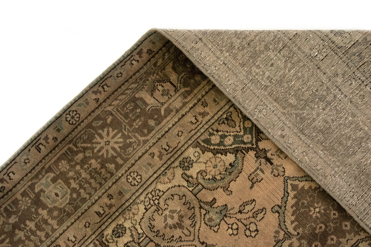 246 x 340 Kashmar
