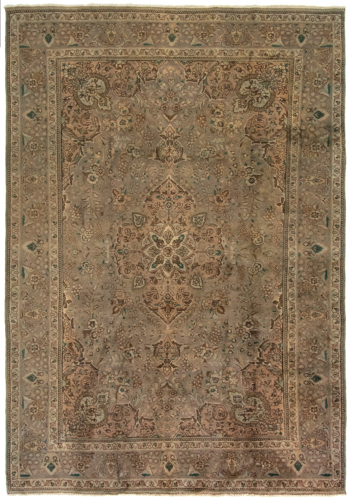 248x355 Kashmar