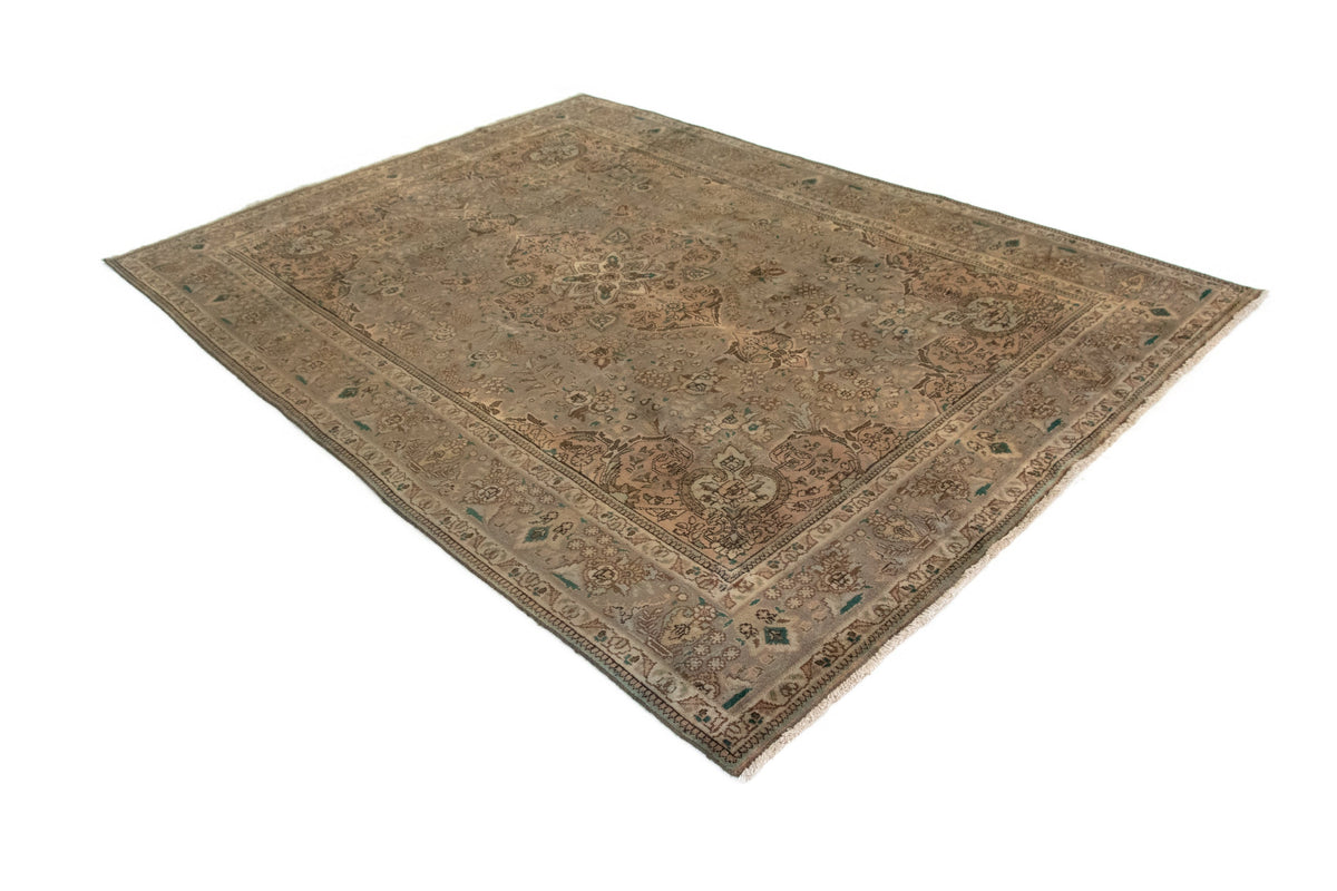 248x355 Kashmar