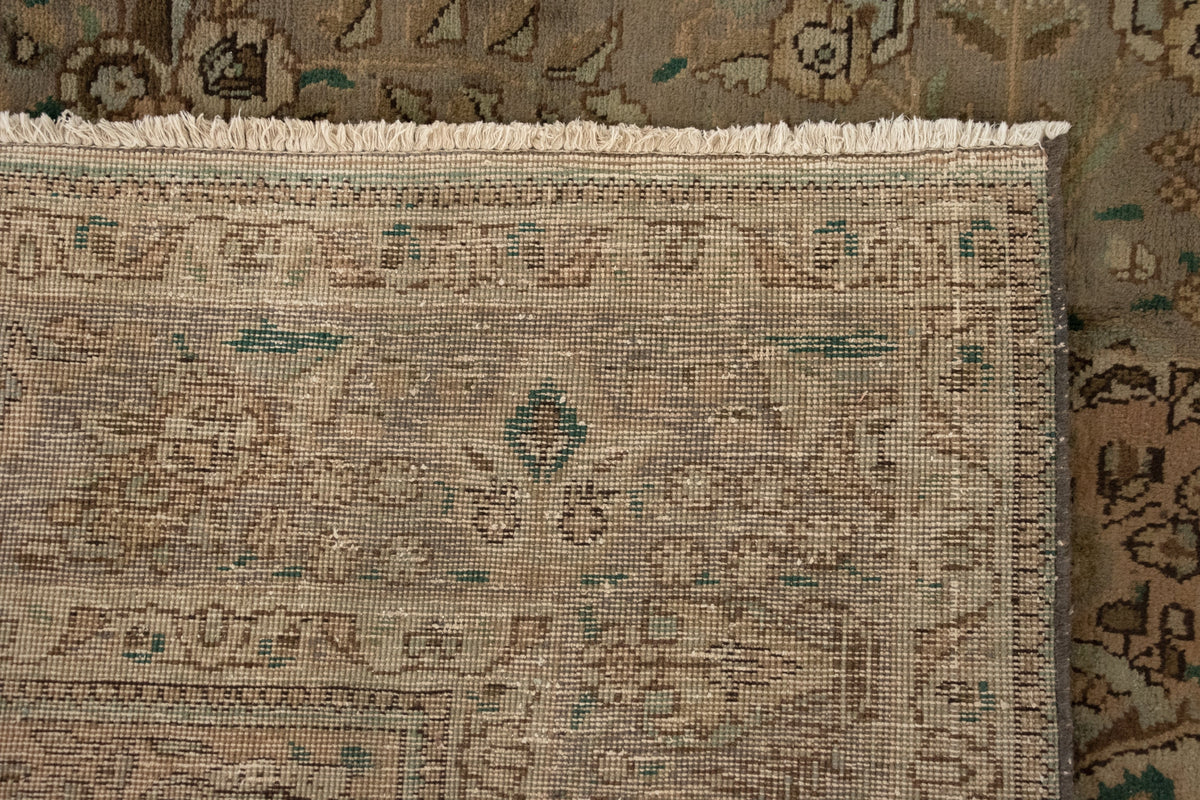 248x355 Kashmar