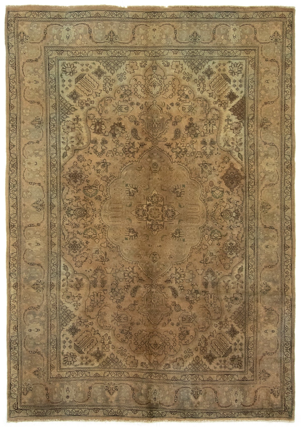 215x317 Cashmar