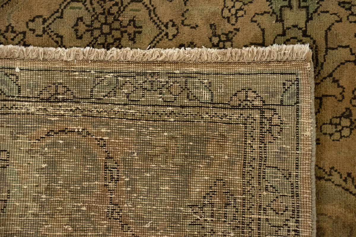 215x317 Cashmar