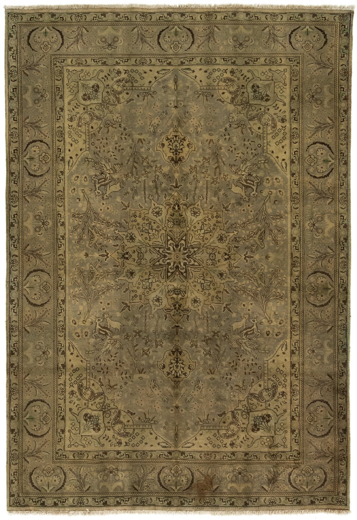 212 x 312 Kashmar