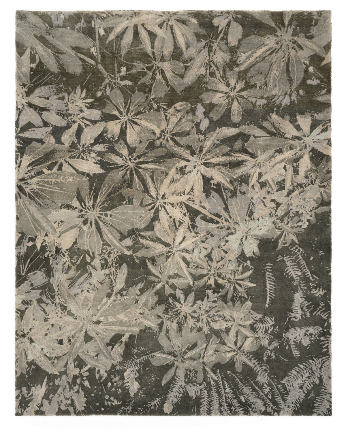 232 x 300 Modern Himalaya