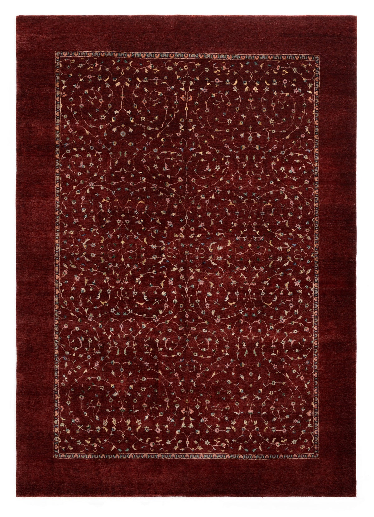 223x310 Nila moderna