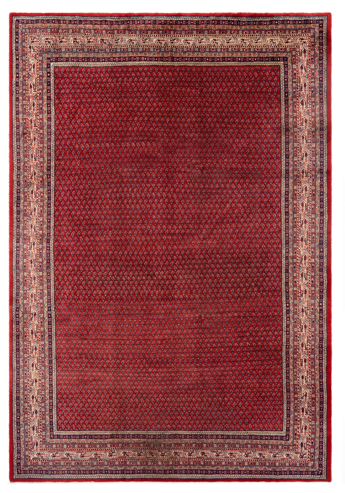 242x349 Sarouk