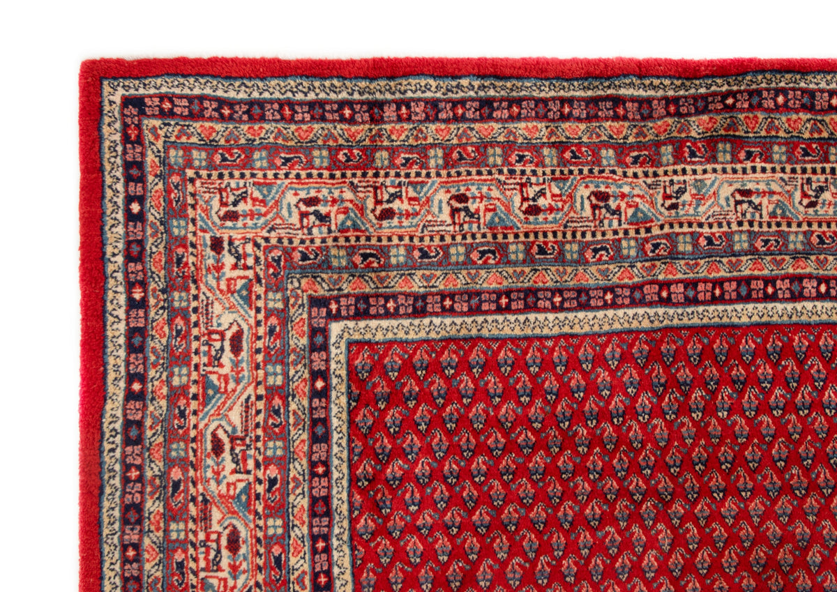 242x349 Sarouk