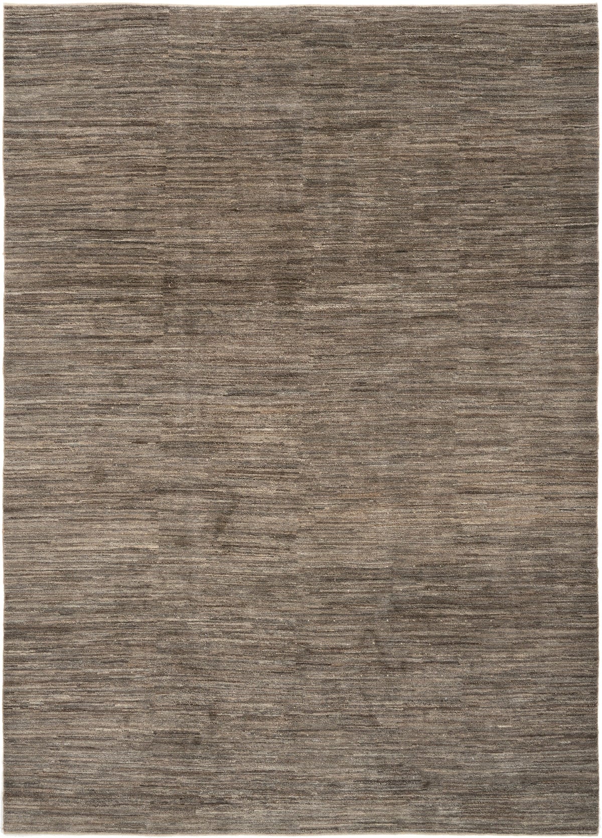 248 x 350 Schekarlou