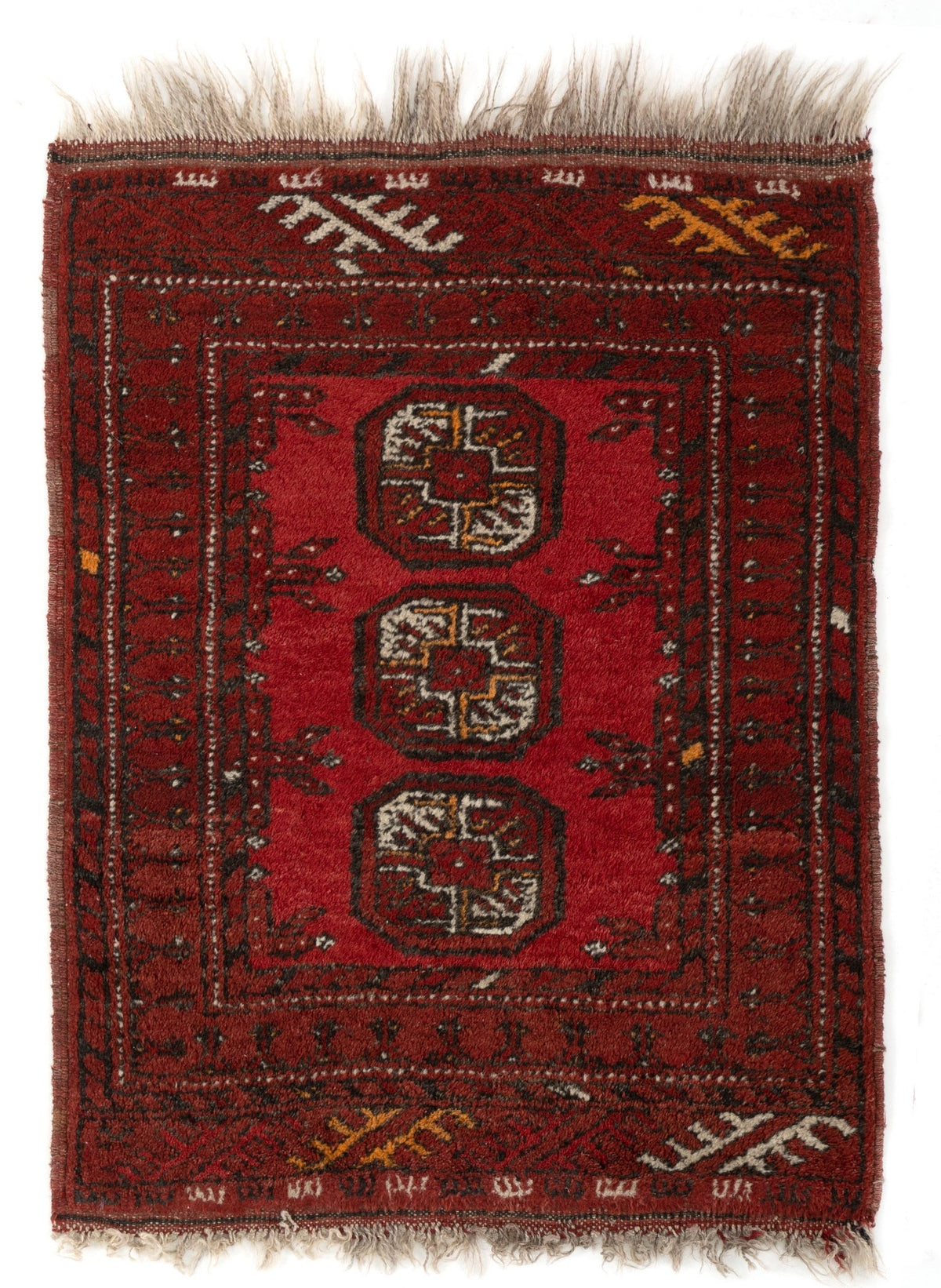 53x86 afgano
