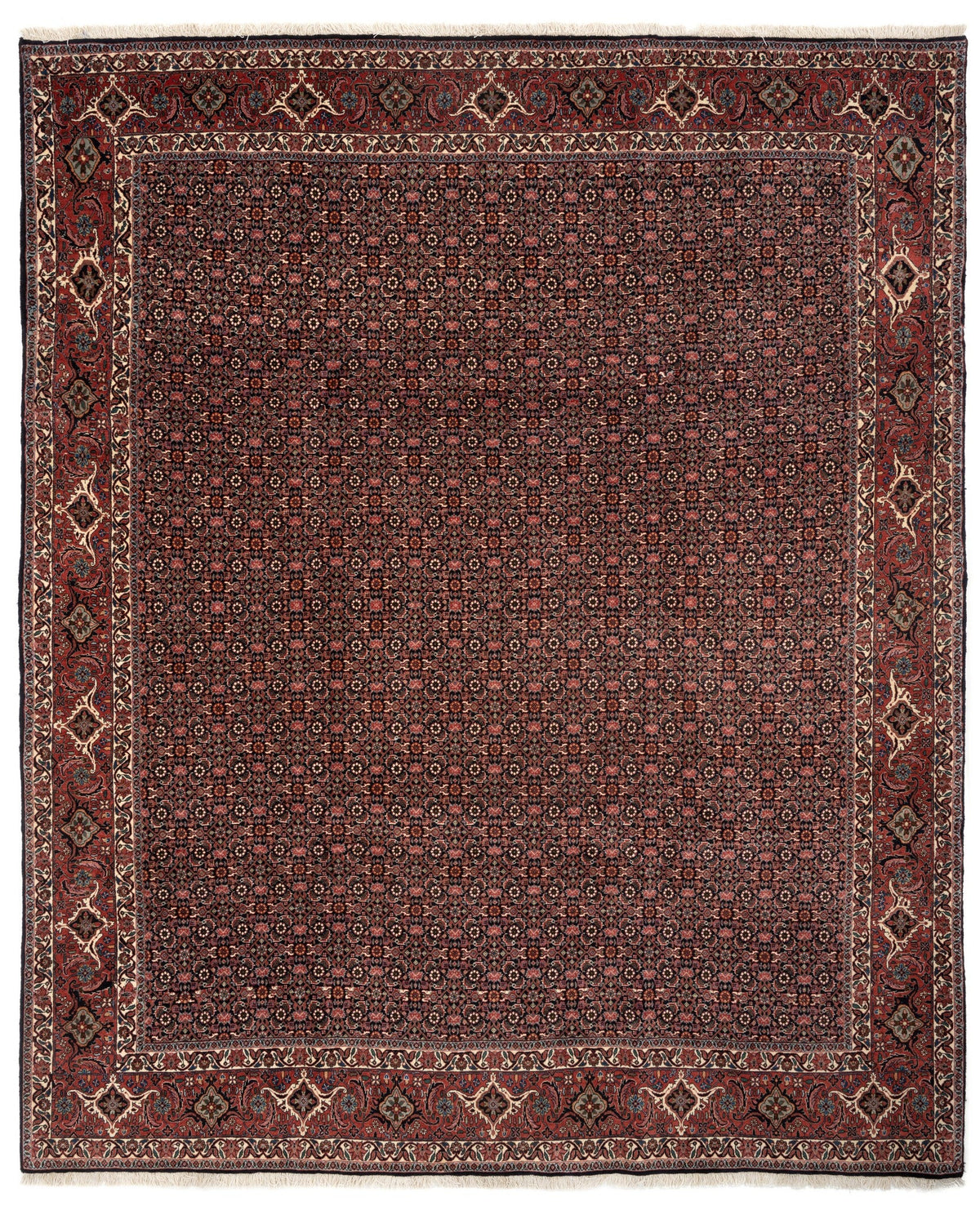 208x259 Bidjar con seta