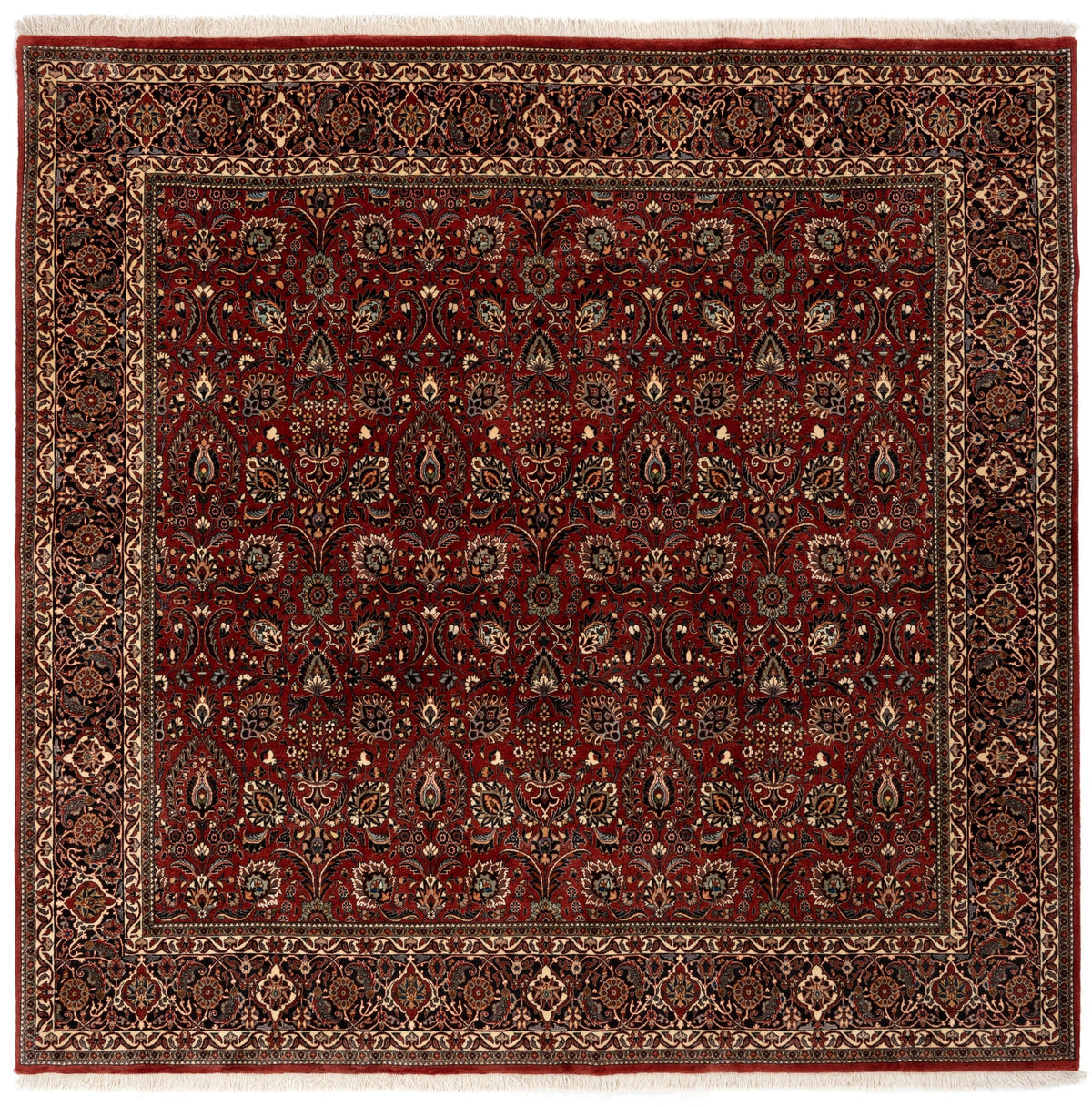250 x 247 Bidjar mit Seide