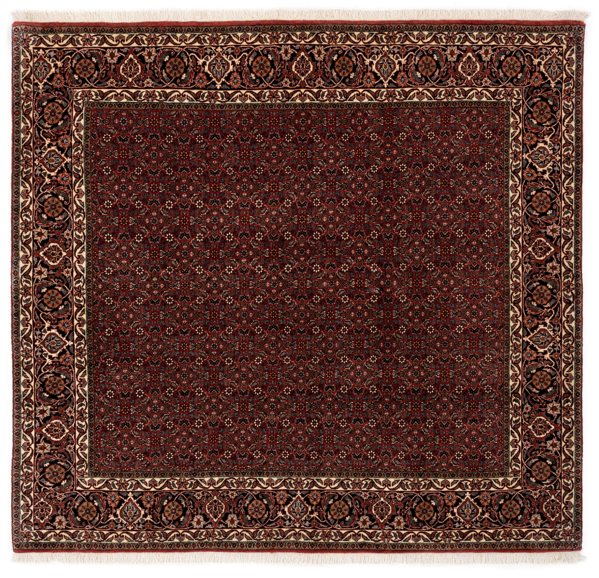194 x 208 Bidjar mit Seide