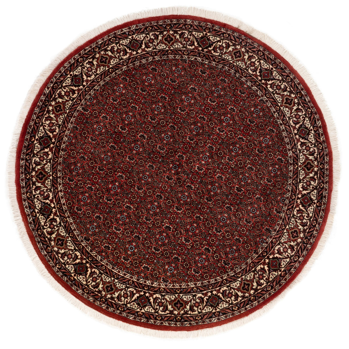 152x152 Bidjar con seta