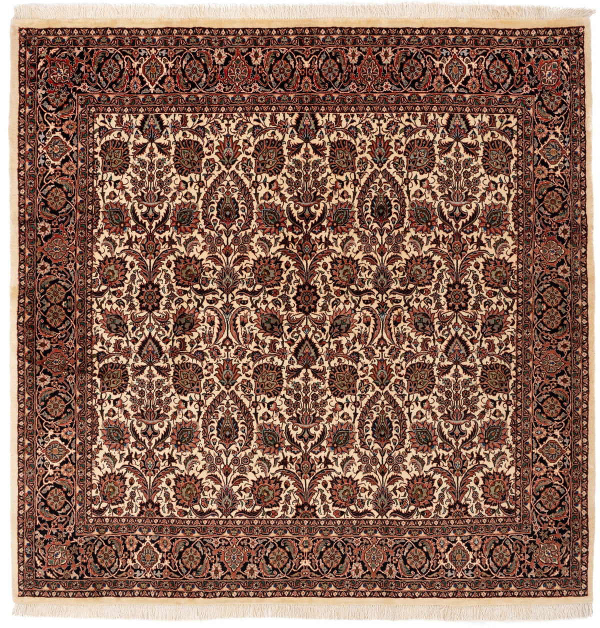 205x203 Bidjar con seta