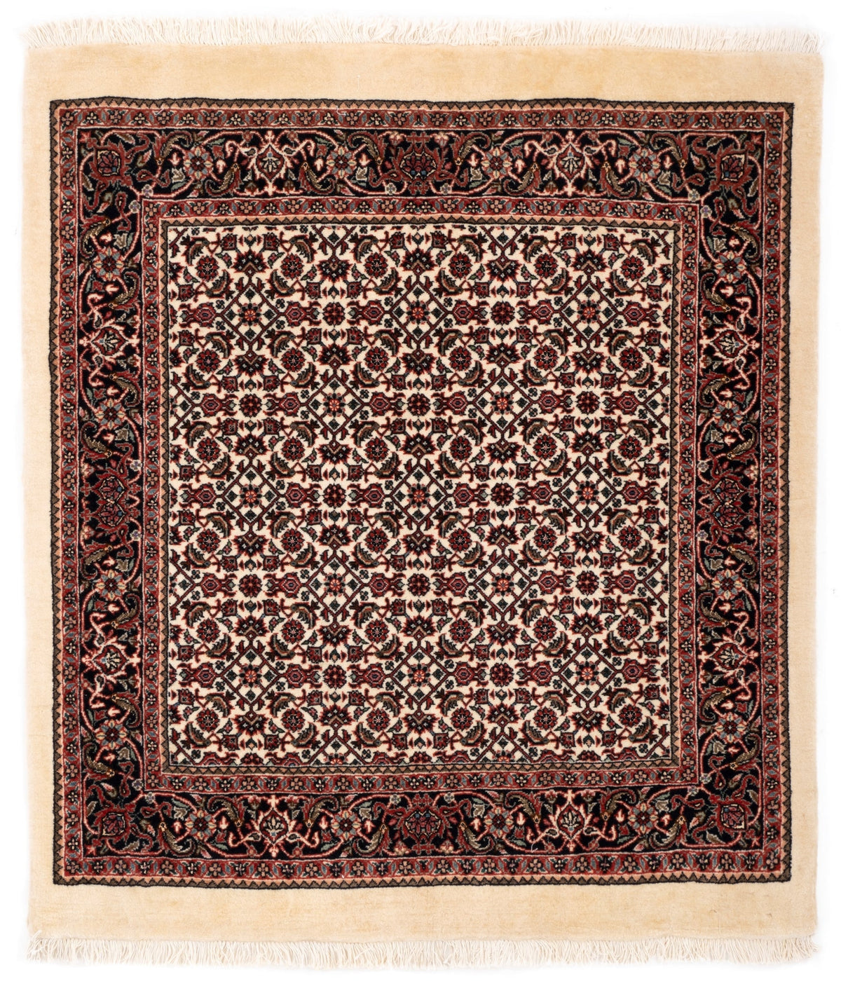 96x109 Bidjar avec soie