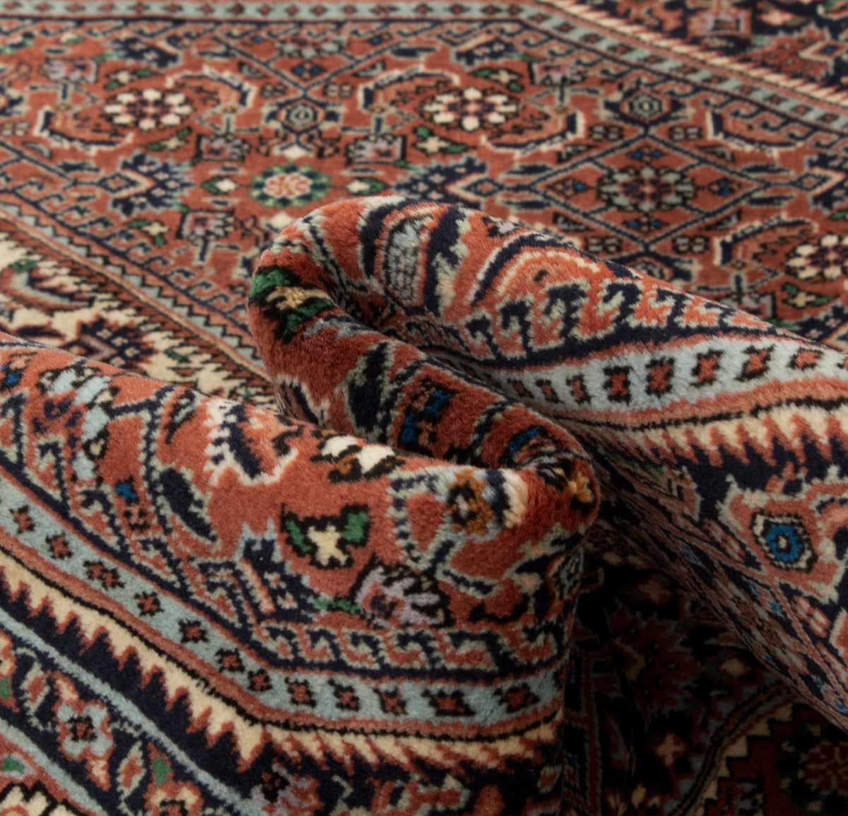 150 x 244 Bidjar