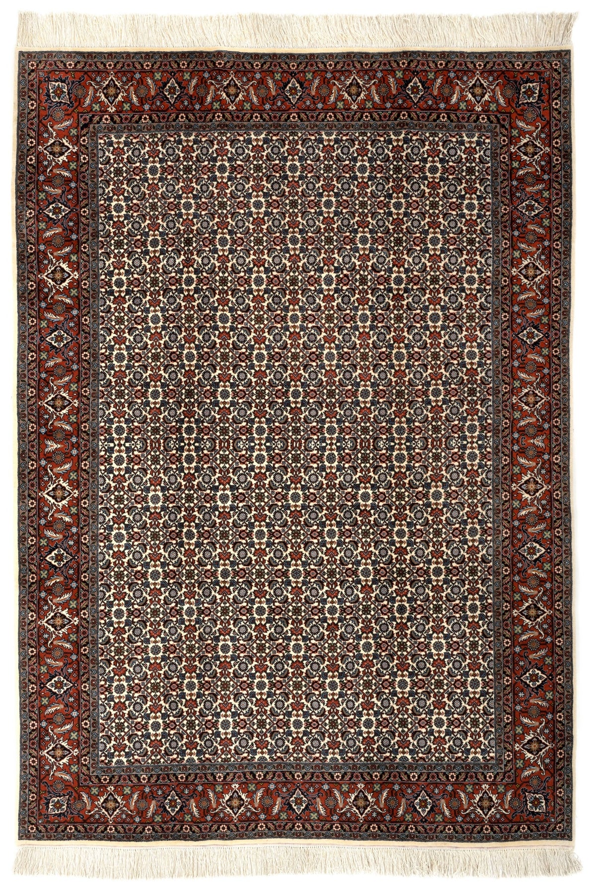 201 x 286 Bidjar
