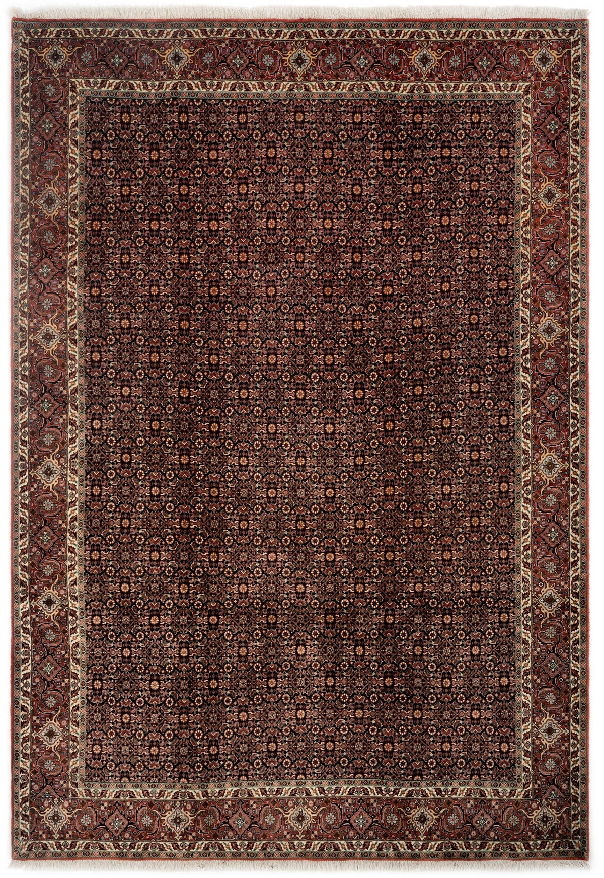 206 x 300 Bidjar