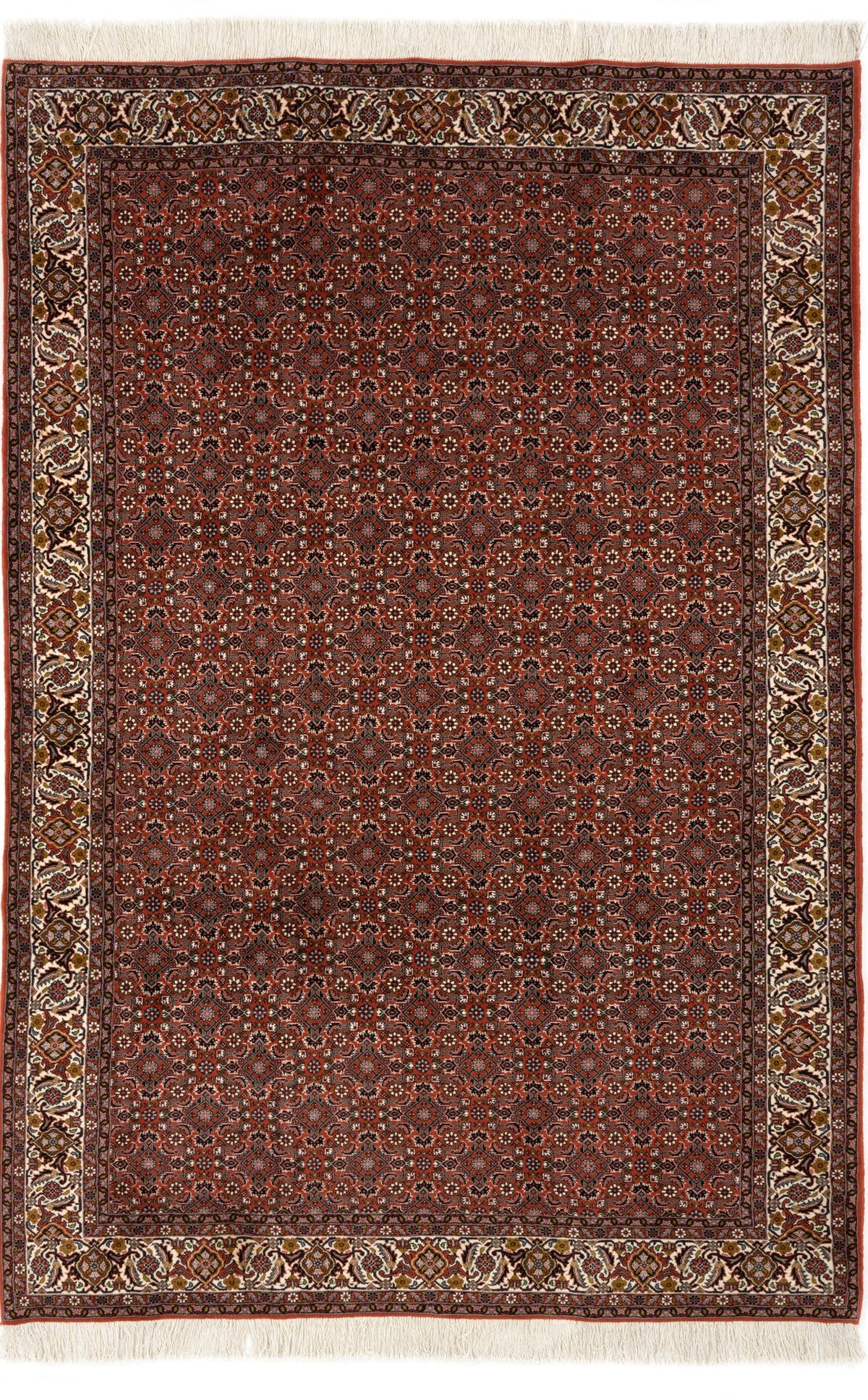198 x 306 Bidjar