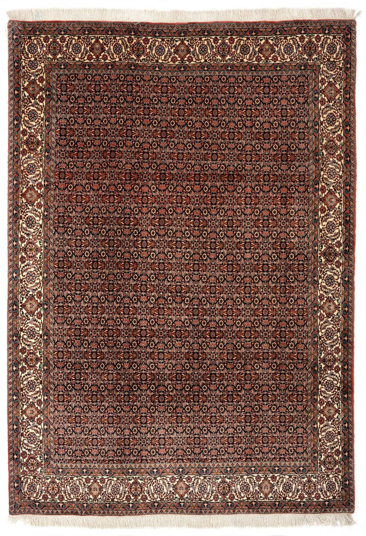 205 x 291 Bidjar