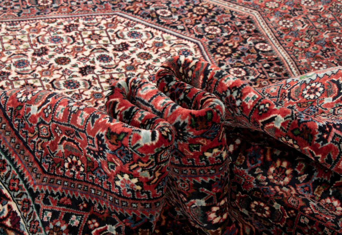 205x290 Bidjar