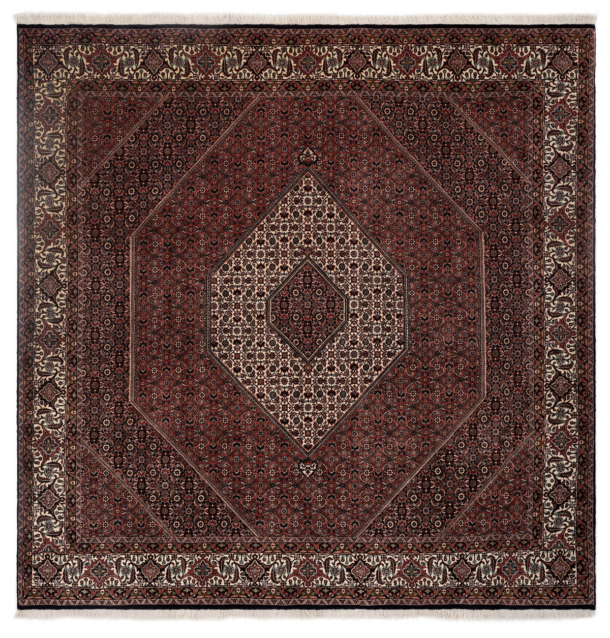 252x254 Bidjar