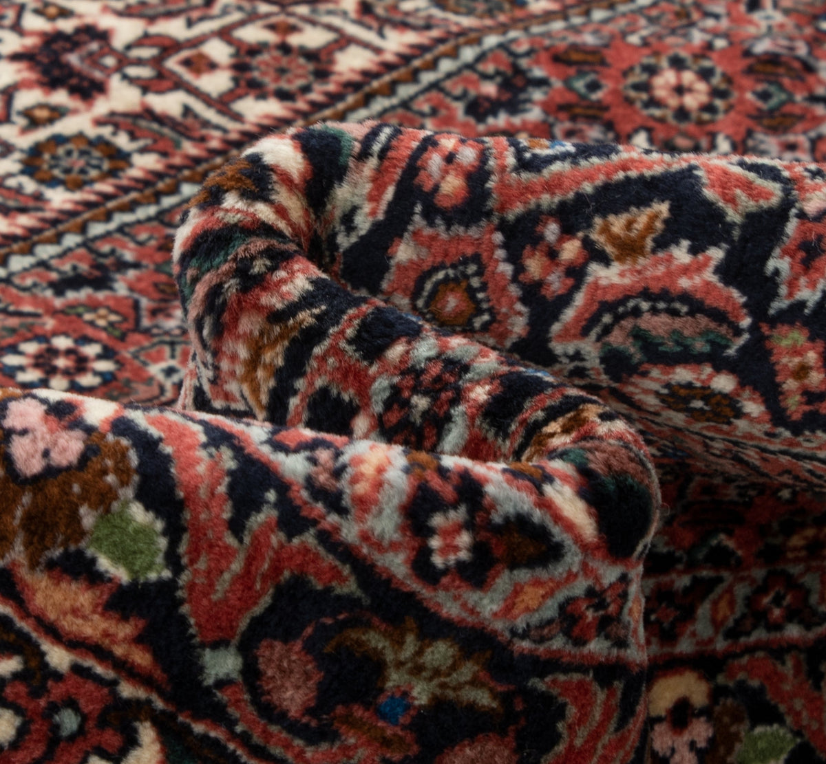 252x254 Bidjar