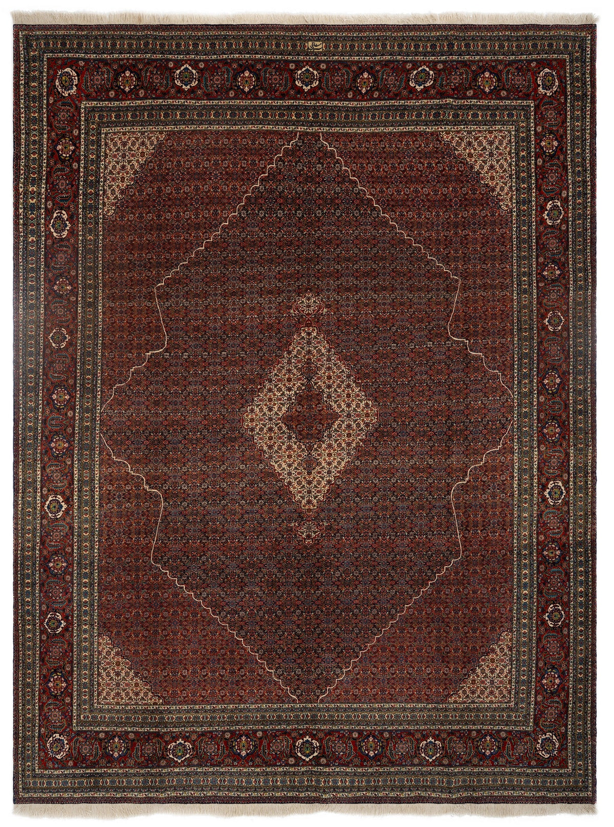 295 x 381 Sarab Mahshabi