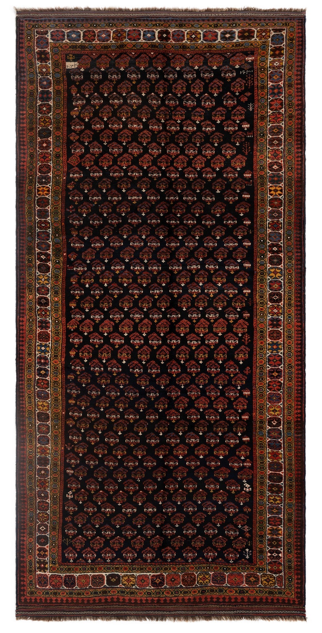 159 x 323 Veramin