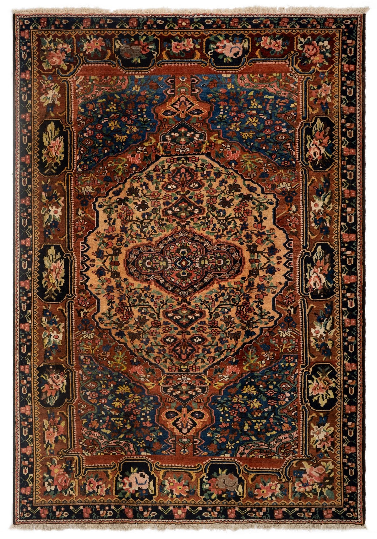 218 x 315 Bachtiar Faradombesh