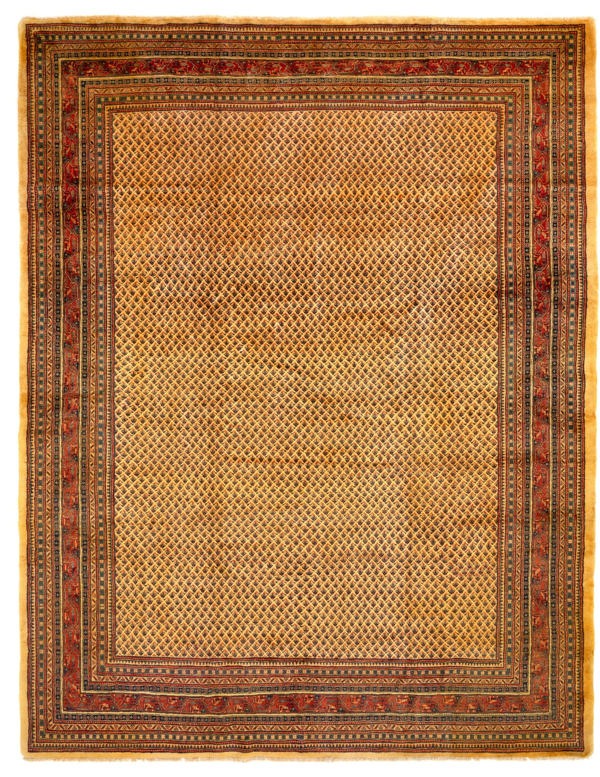 294x392 Sarouk Mir