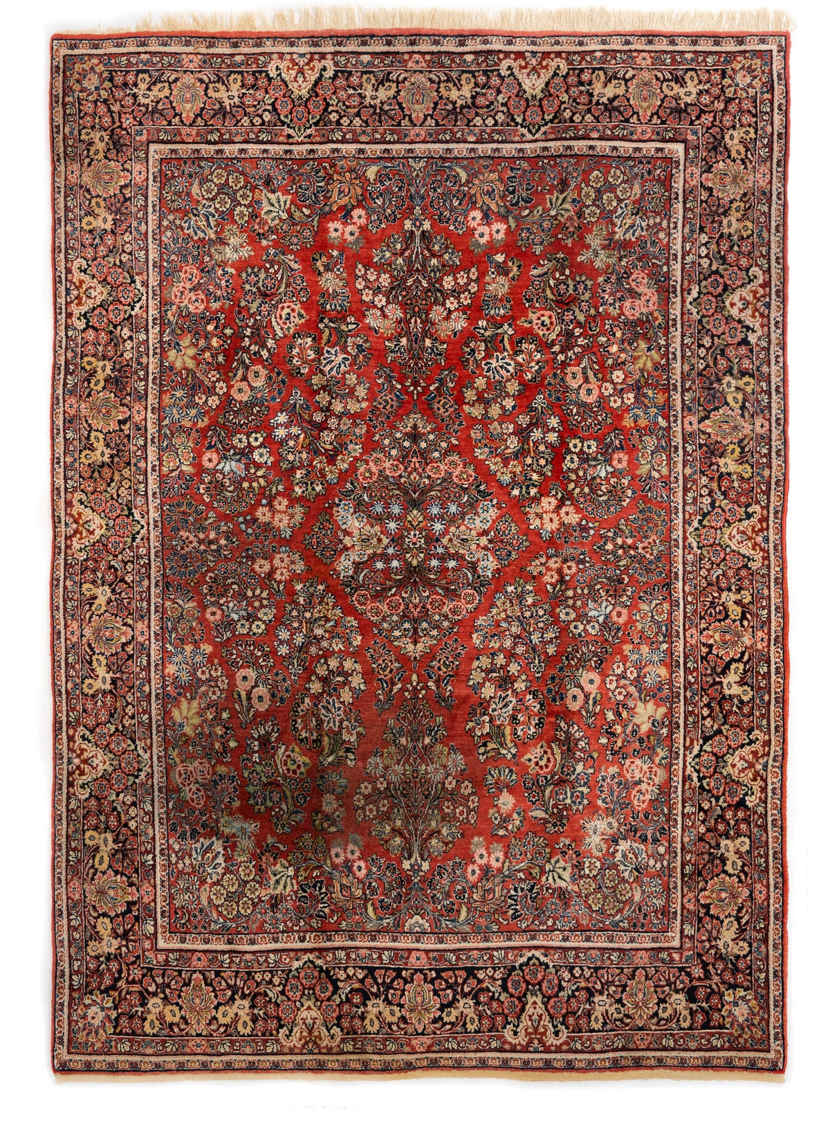 364 x 268 Saruk