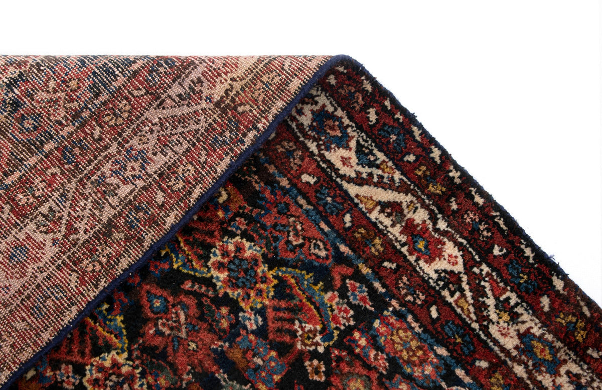 305 x 124  Darjazin